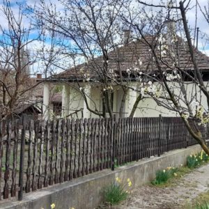 Kiskunhalas, Tesco közelében 2 szobás felújított családi ház eladó