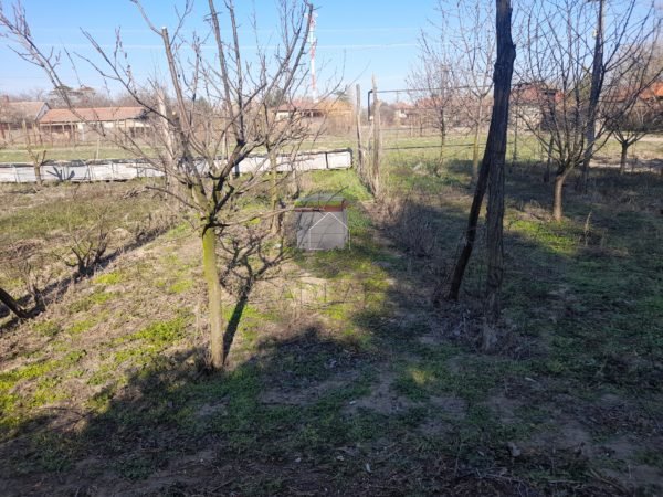 Kiskunhalas Sóstóiszőlőkben telek eladó - Image 5