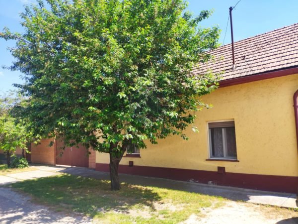 Csongrádon 5 szobás családi ház eladó